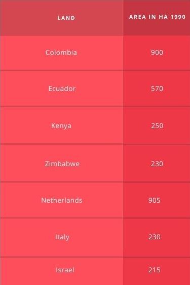 John Pouw - Rosa's secret chapter 11 - table ha per country - on thursd