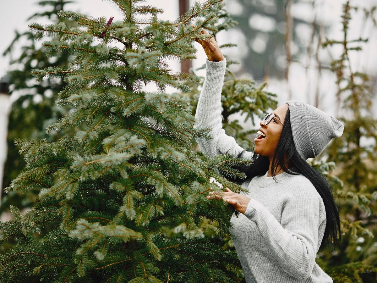 Reflections on Embracing Seasonal Changes to Improve Well-Being Inspired by Nature