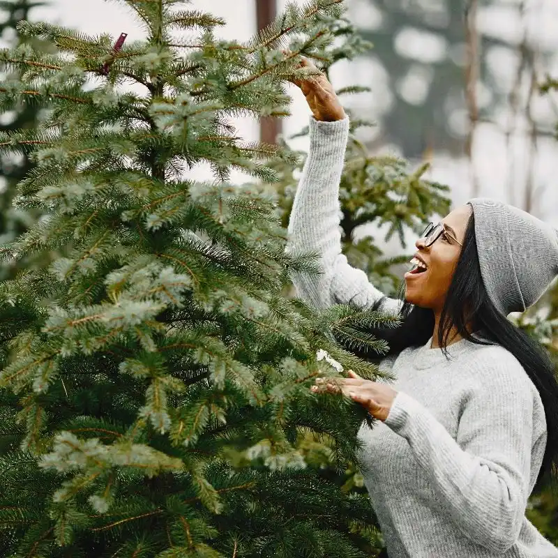 Embracing Seasonal Shifts to Improve Well-Being Inspired by Nature