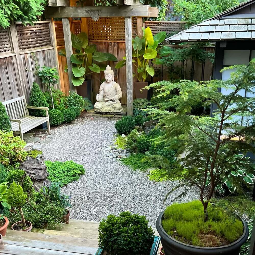 Backyard Buddha statue, gravel garden