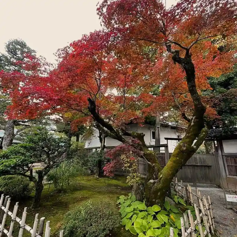 Japanese Living Spaces and Gardens Feature Image