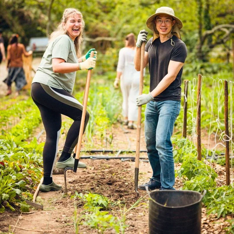 World Soil Day a Platform to Highlight the Importance of Healthy Soils