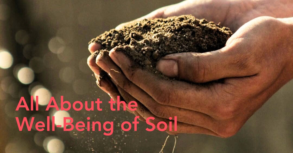 World Soil Day a Platform to Highlight the Importance of Healthy Soils