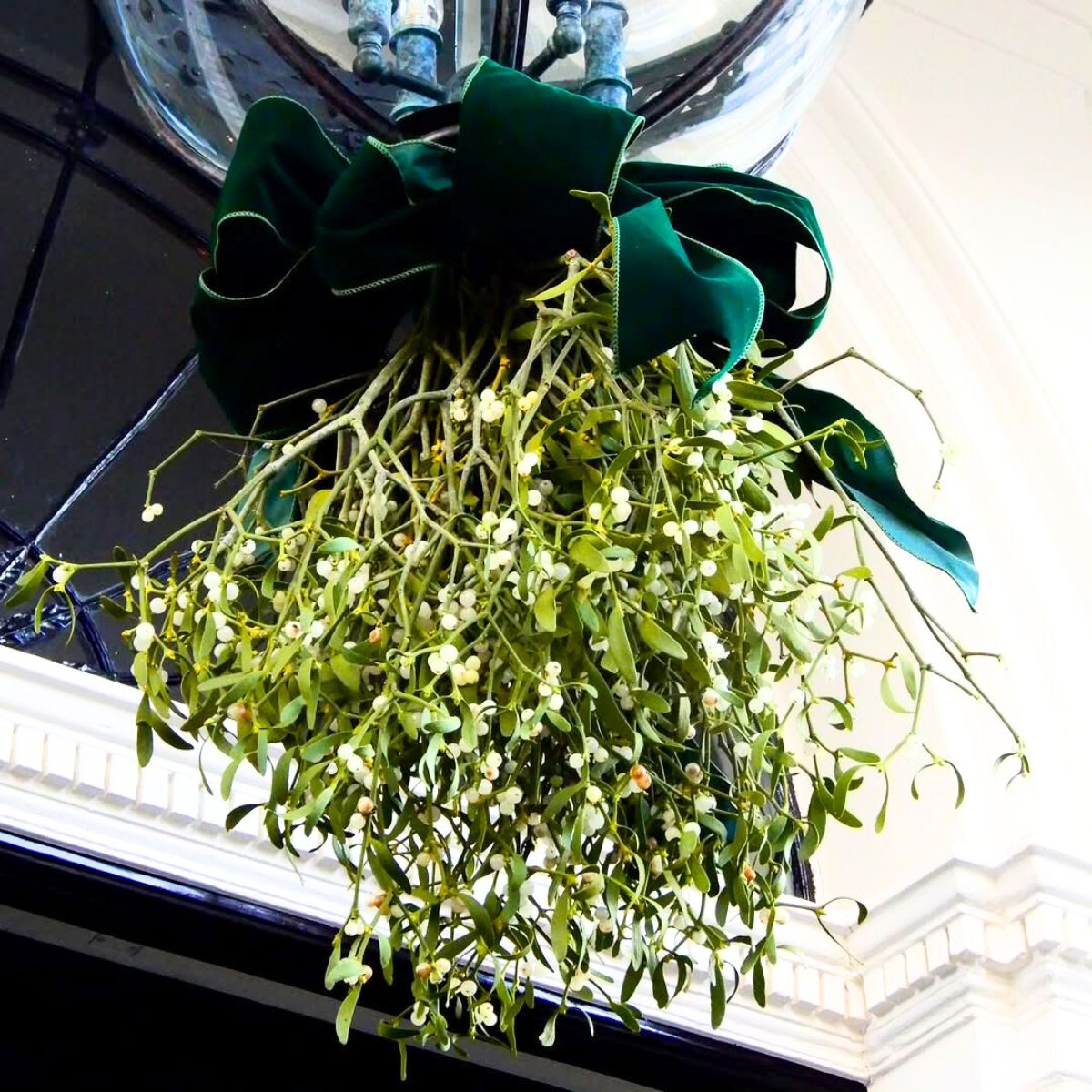 Hanging mistletoe greenery