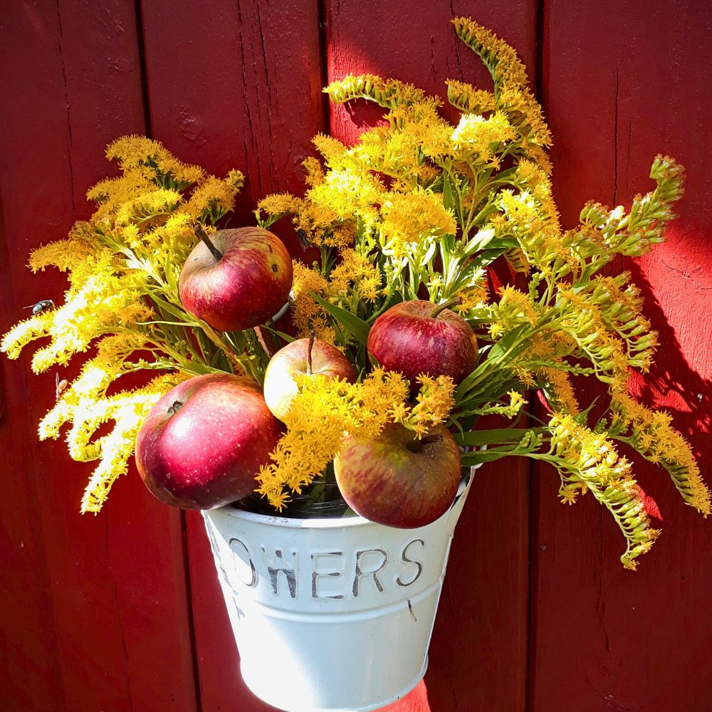 Goldenrod and fruits in an arrangement
