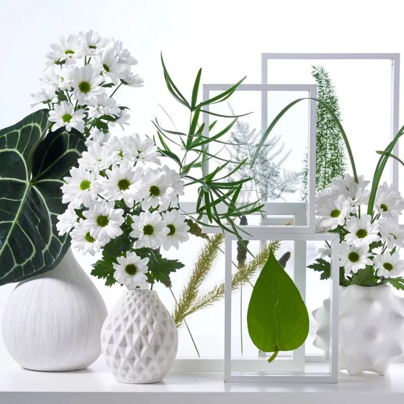 Chrysanthemum Chic by Royal Van Zanten