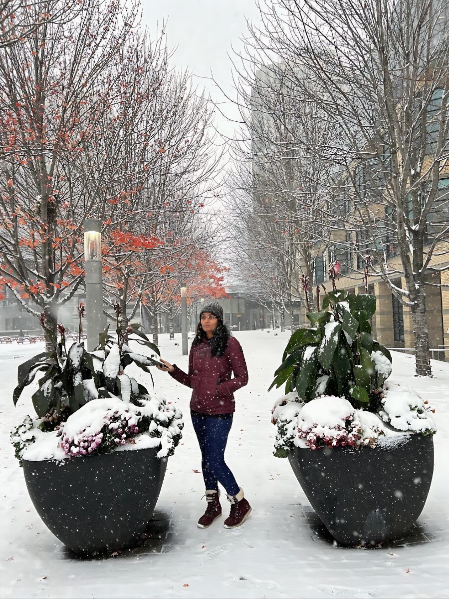 Gearing Your Winter Aesthetics as You Bid Farewell to the Fall Season