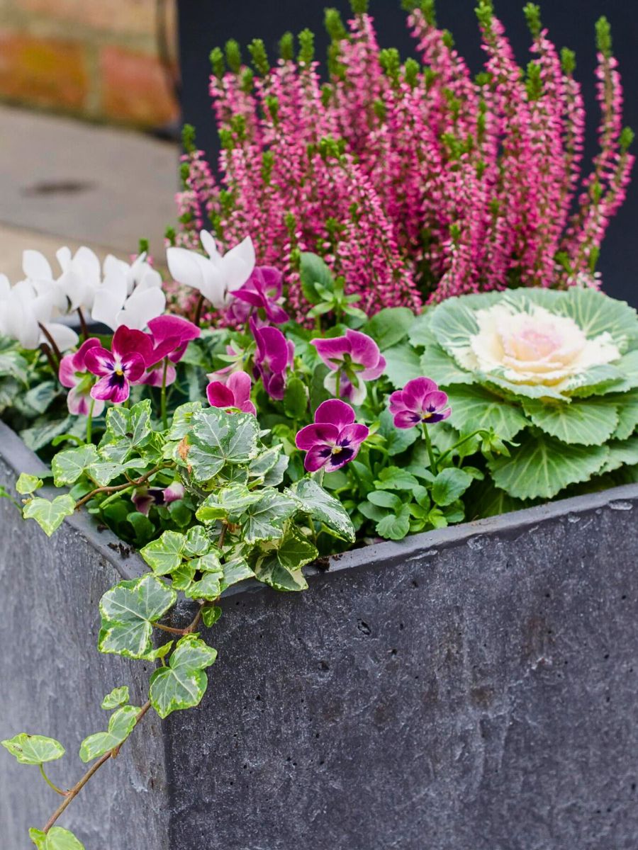 Gearing Your Winter Aesthetics