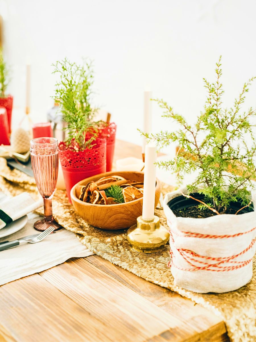 Gearing Your Winter Aesthetics as You Bid Farewell to the Fall Season