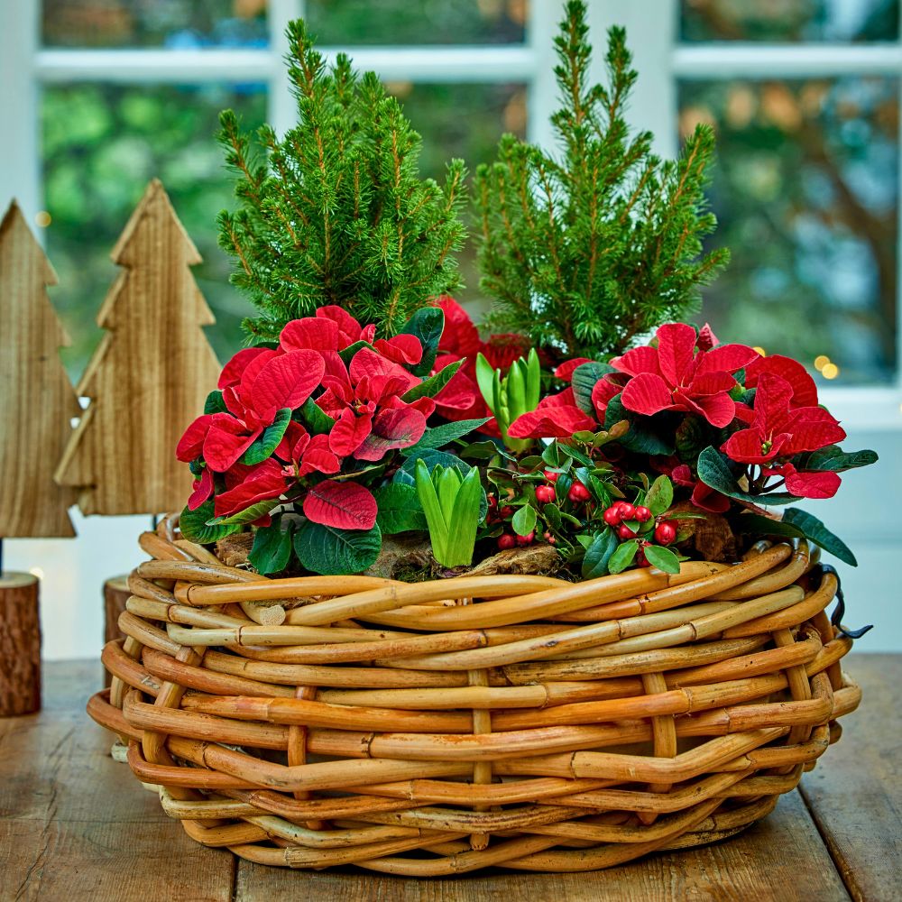 Gearing Your Winter Aesthetics as You Bid Farewell to the Fall Season