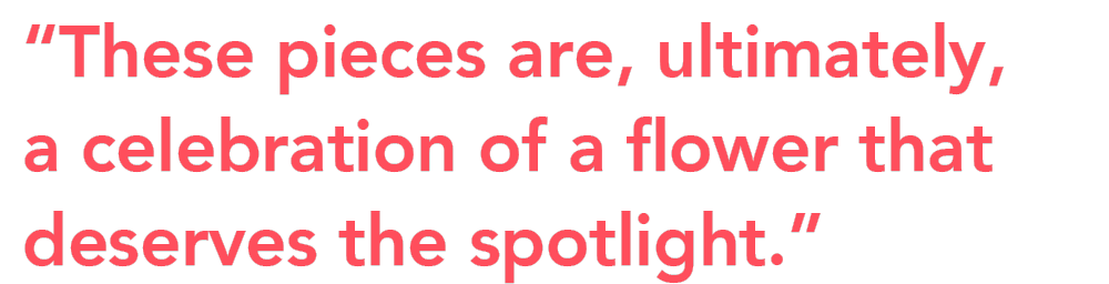 Tesselaar Alstroemeria Rachel Kennedy quote