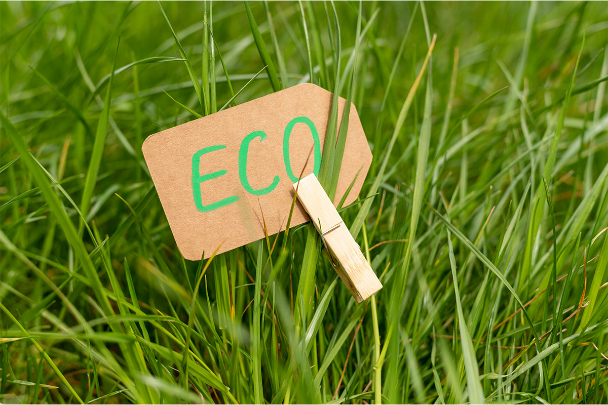Green eco grass label