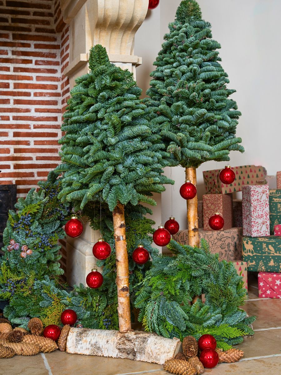 Bring the Holiday Season to Life With Adomex’s X-Mas Greens