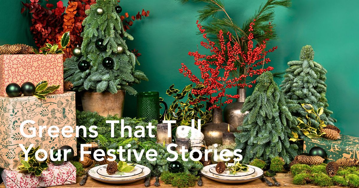 Adomex’s Christmas Greens Bring the Holiday Season to Life - Thursd Article