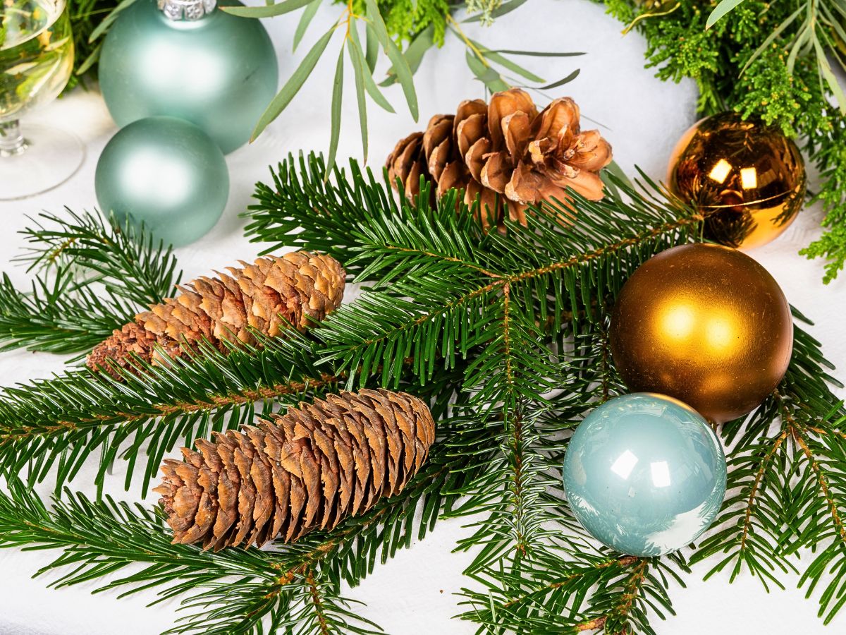 Adomex’s X-Mas Greens