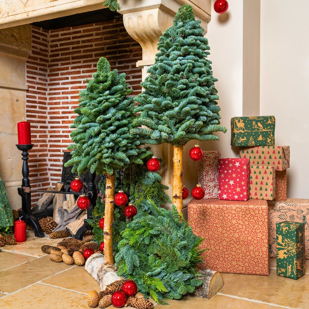 Adomex’s Christmas Greens Bring the Holiday Season to Life - Thursd Article