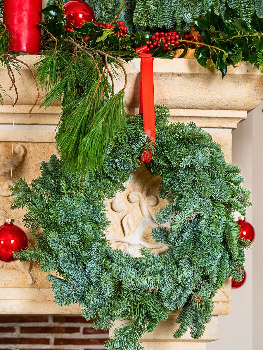 Adomex’s Christmas Greens Bring the Holiday Season to Life - Thursd Article
