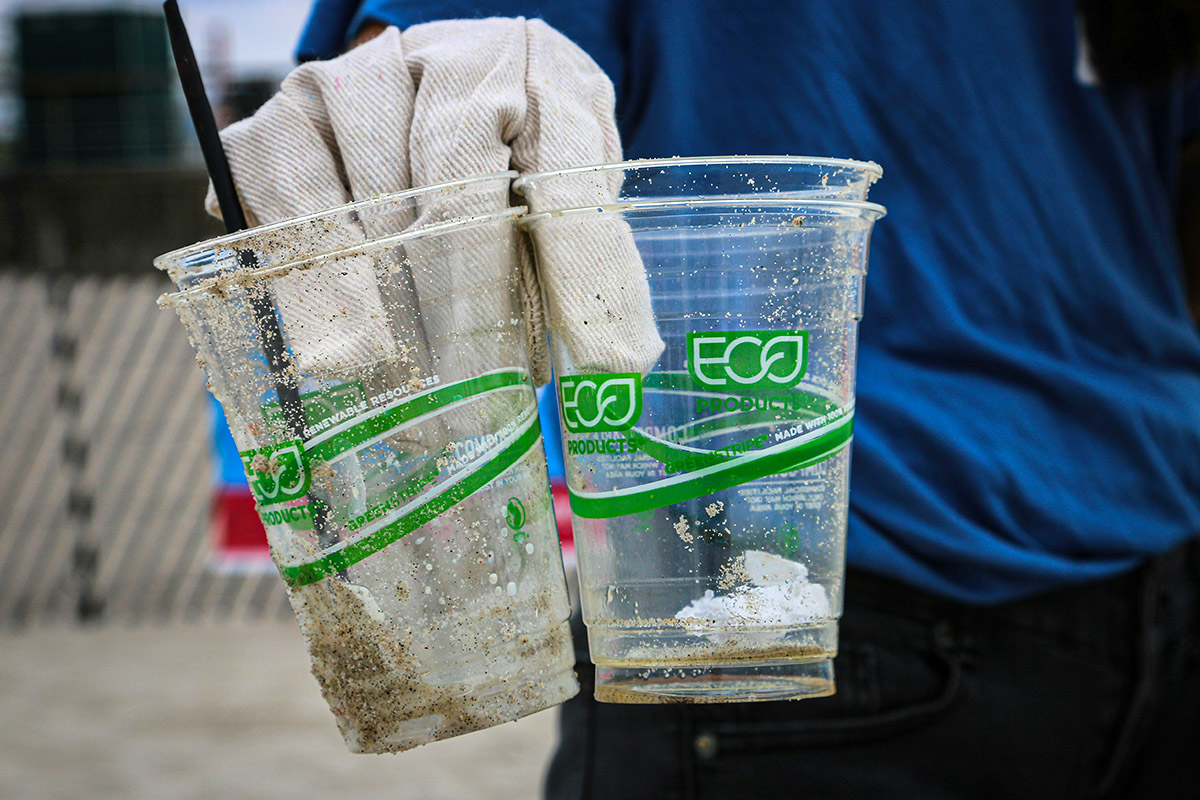 Gloves holding two plastic eco cups