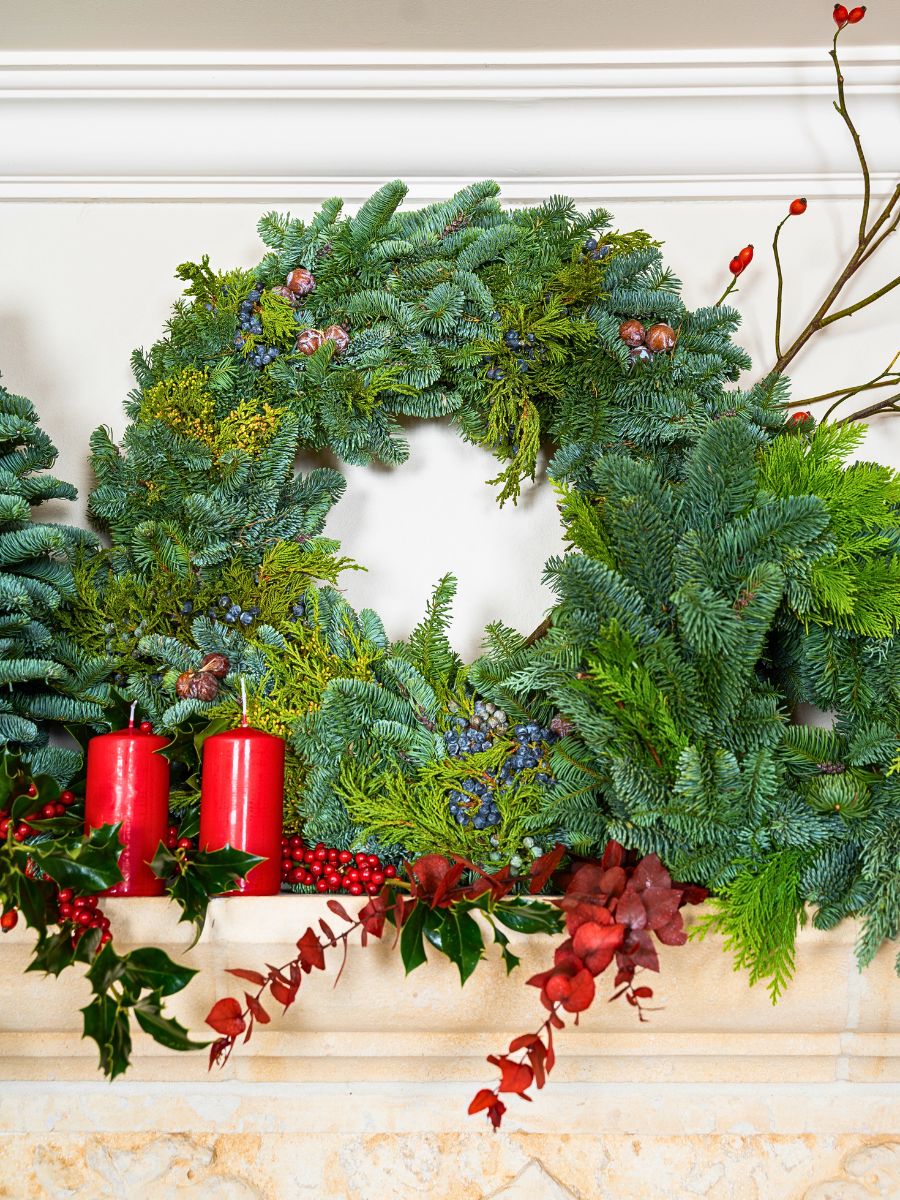 Adomex’s Christmas Greens Bring the Holiday Season to Life - Thursd Article