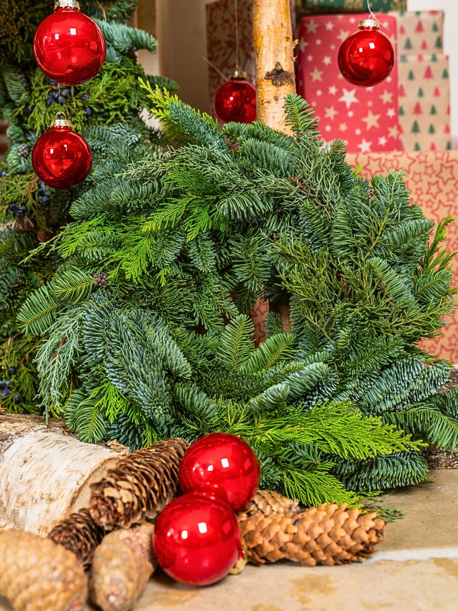 Adomex’s Christmas Greens Bring the Holiday Season to Life - Thursd Article