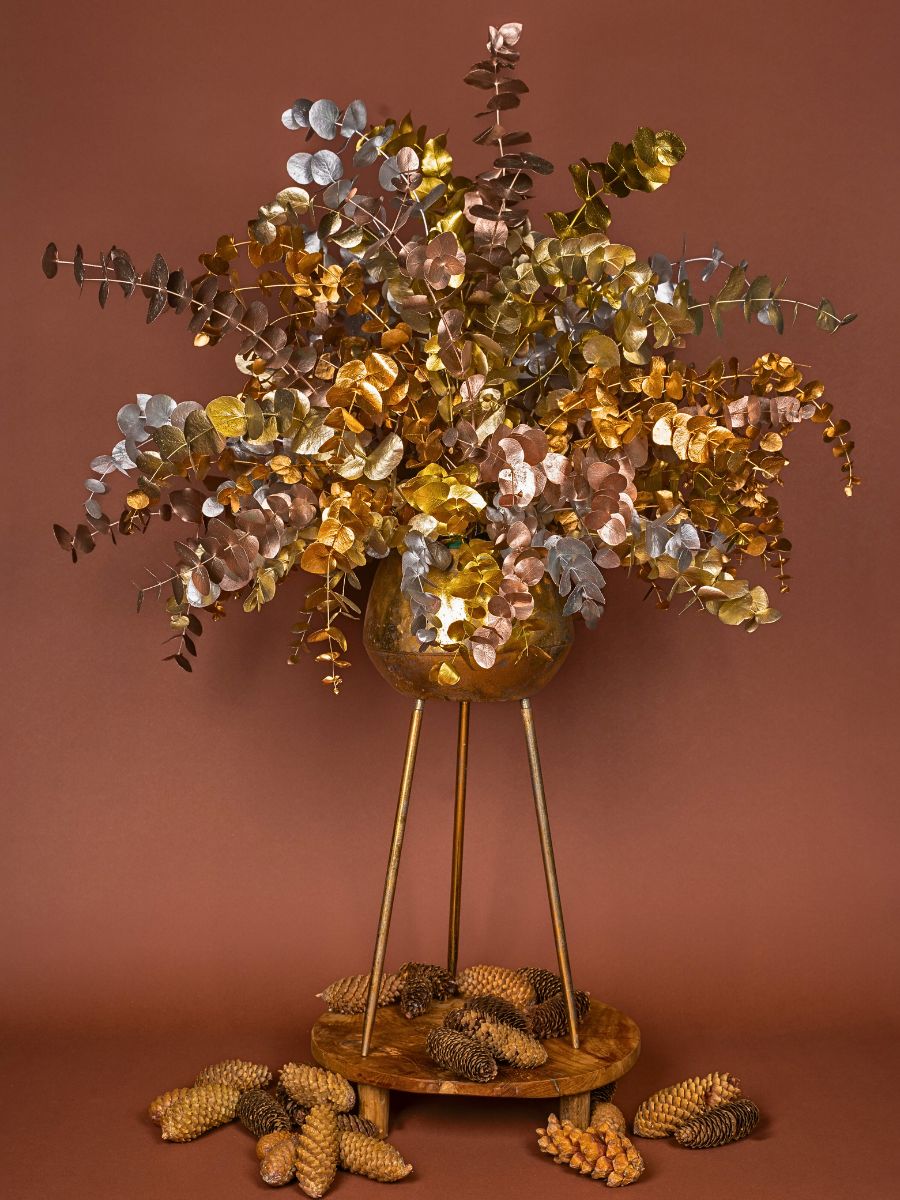 Adomex’s Christmas Greens Bring the Holiday Season to Life - Thursd Article