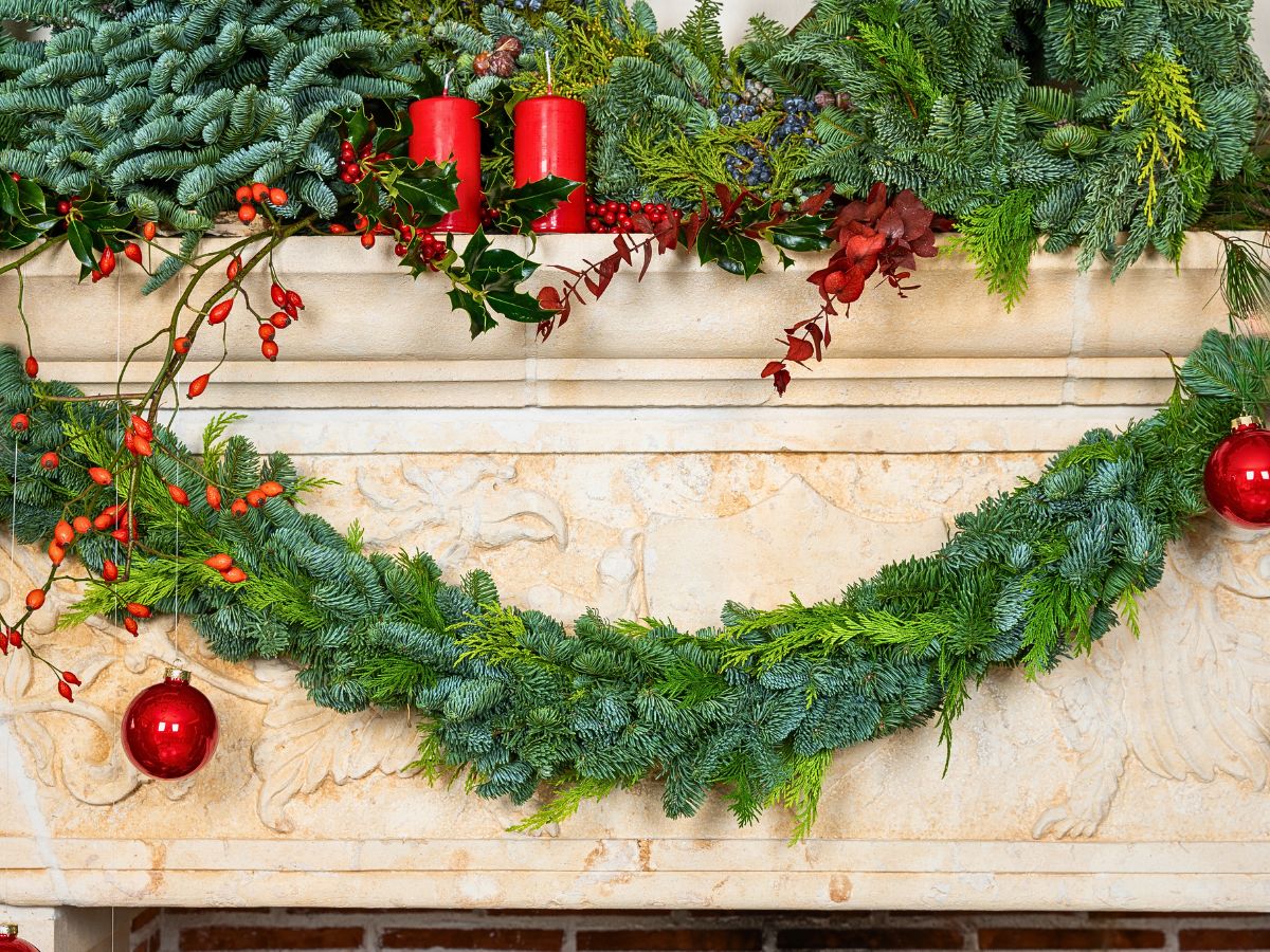 Adomex’s Christmas Greens Bring the Holiday Season to Life - Thursd Article