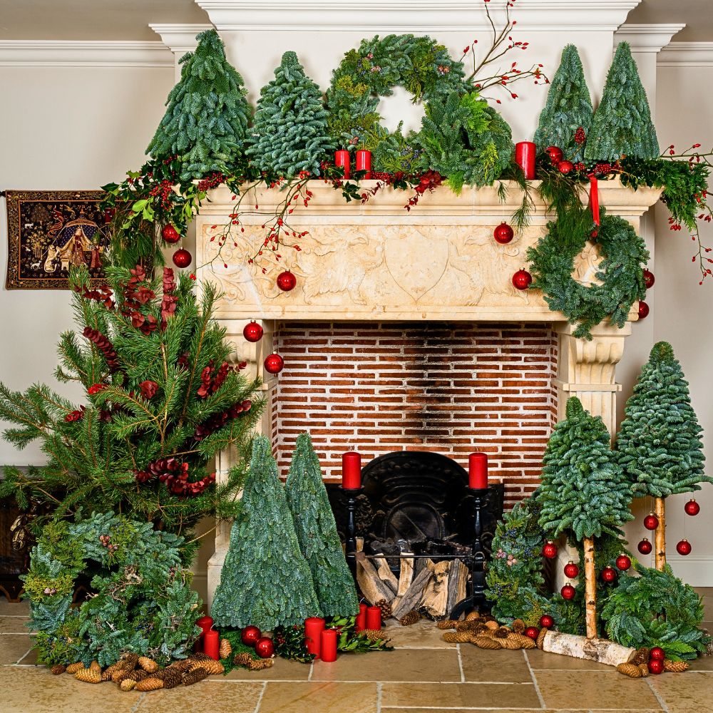 Adomex’s Christmas Greens Bring the Holiday Season to Life - Thursd Article