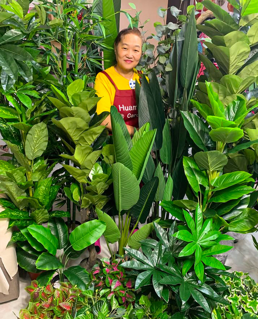 Fake plants shop huamamasg