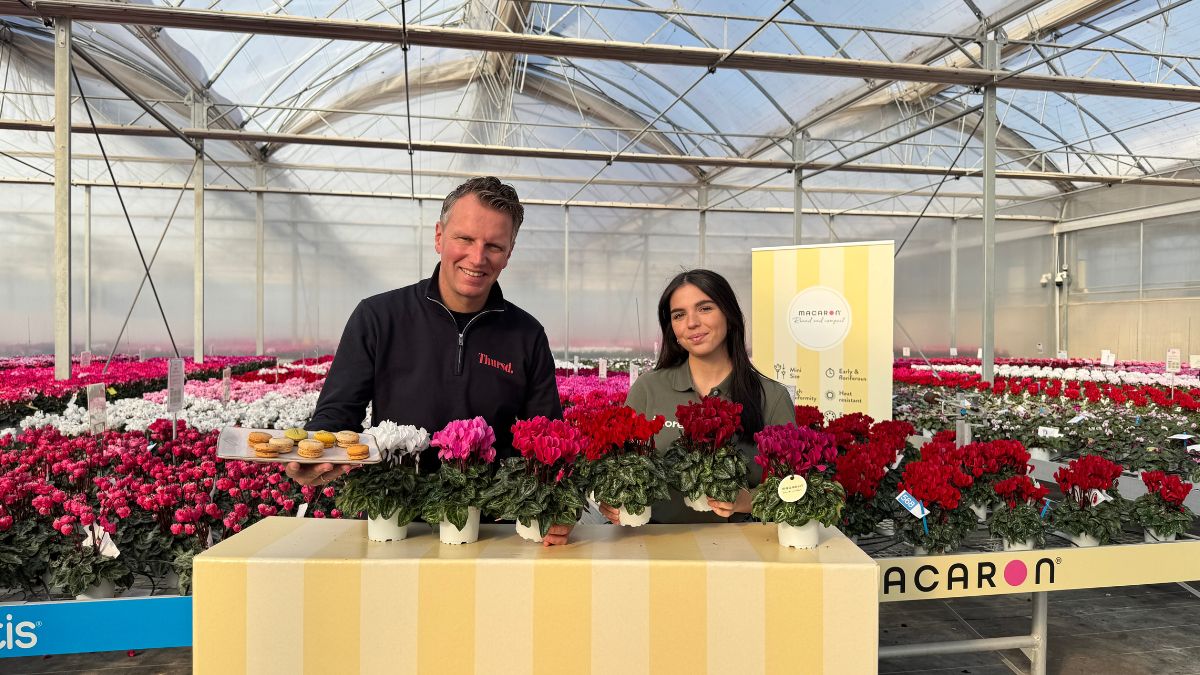 It's me by MorelMacron