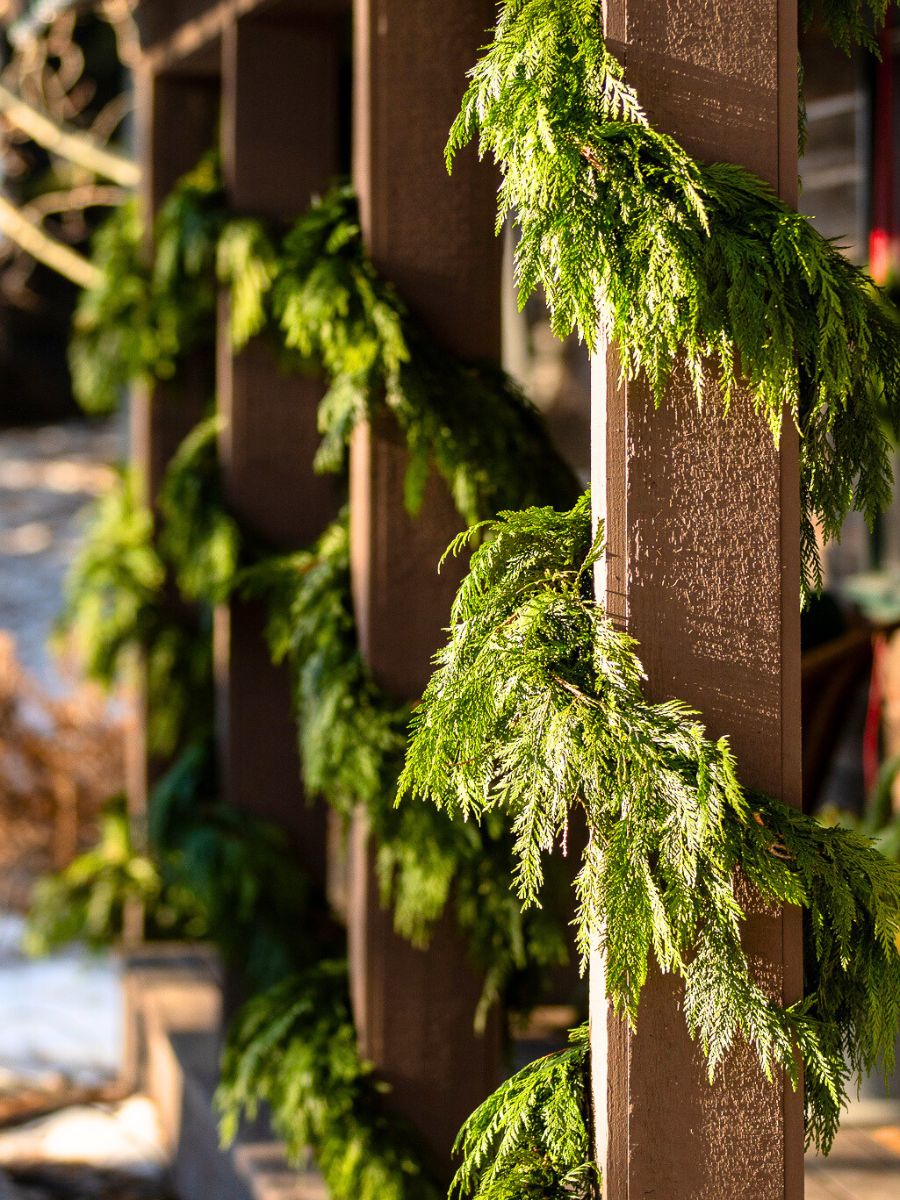 Cedar garlands by CFG
