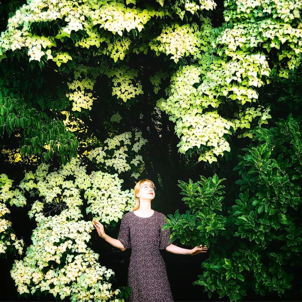 A lady soaking in the beauty and ambiance of flowering dogwood tree