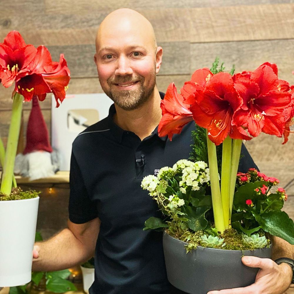 a man holding two potted Amaryllis flower