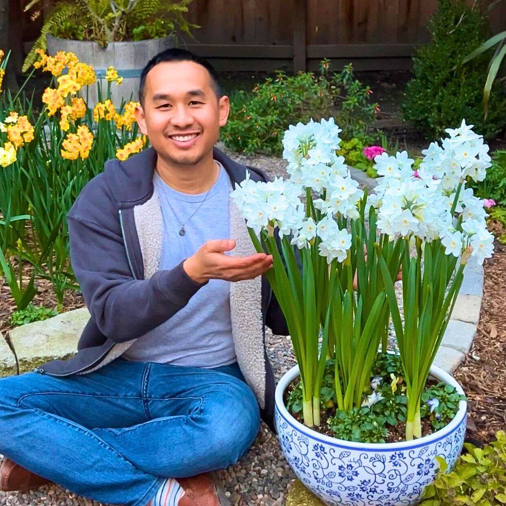 A man with his Paperwhites also know as Narcissus papyraceus