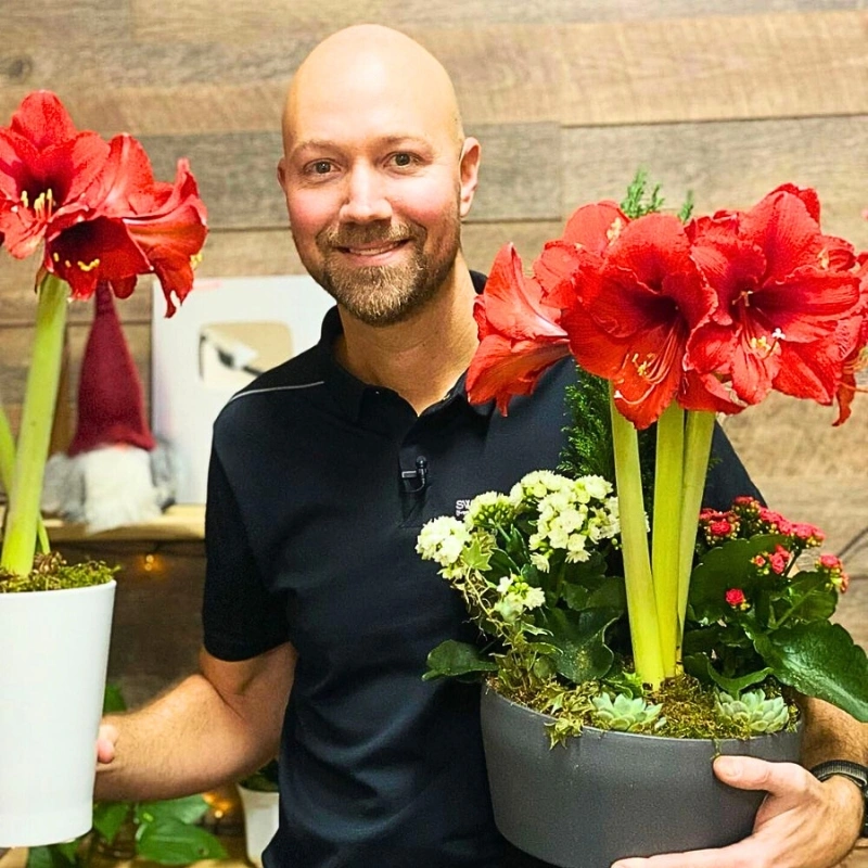 Christmas flowers and plants