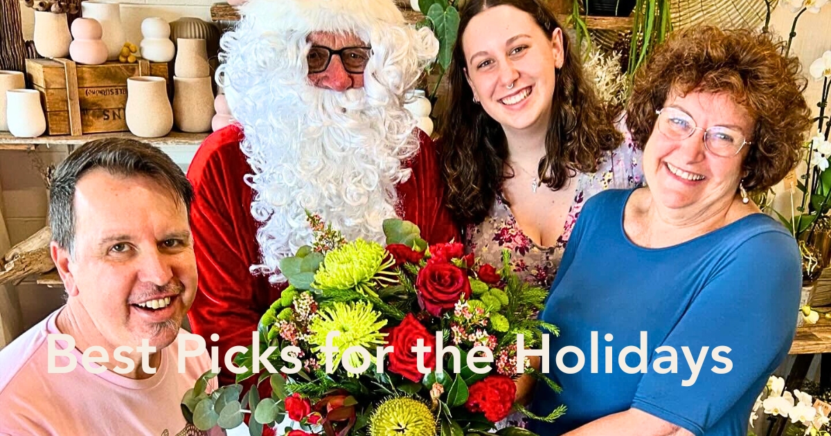 Christmas flowers and plants - Thursd Article Header Image