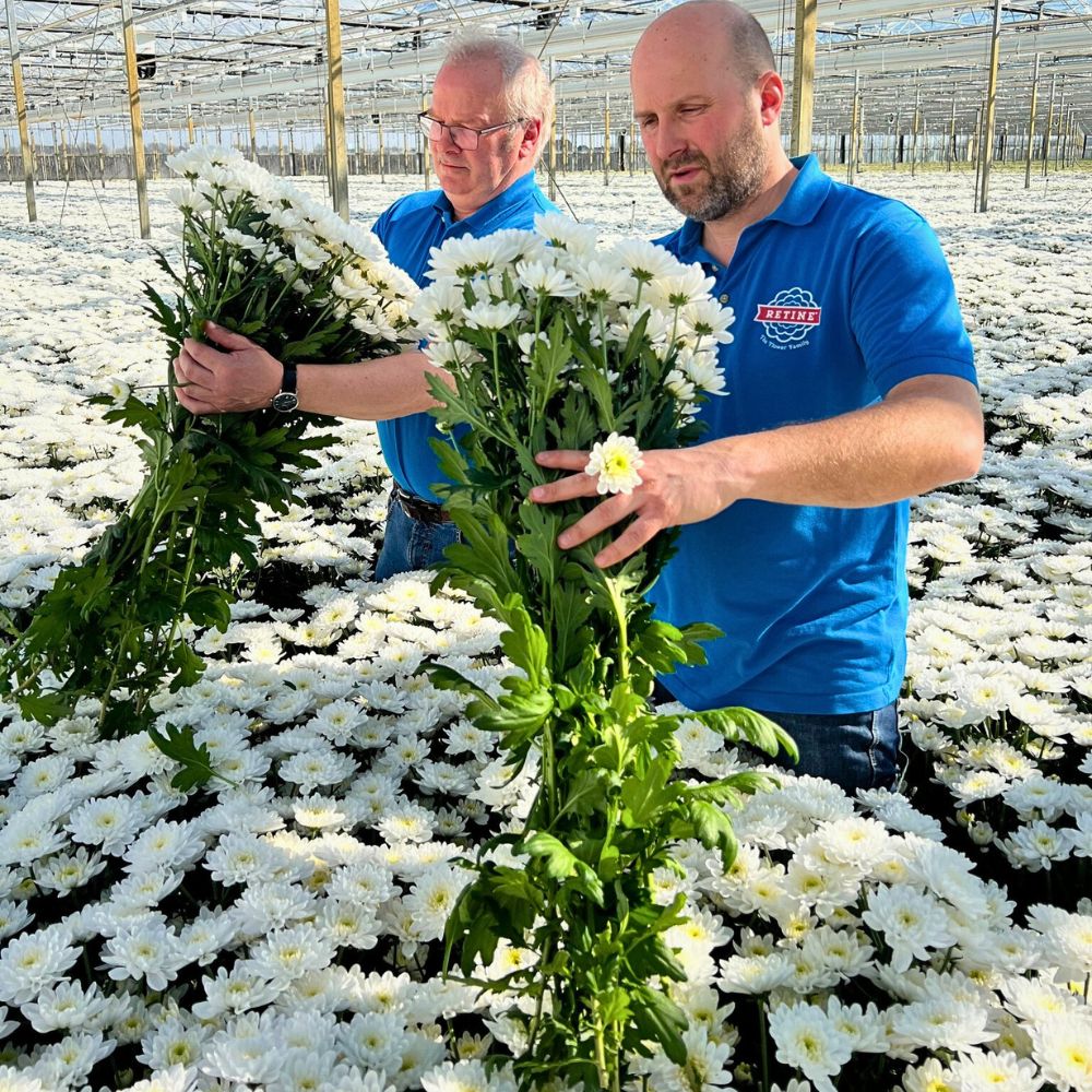 AIPH Welcomes EU–UK SPS Deal to Protect Horticulture Supply Chains