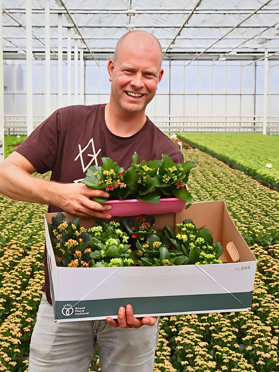 AIPH Welcomes EU–UK SPS Deal to Protect Horticulture Supply Chains