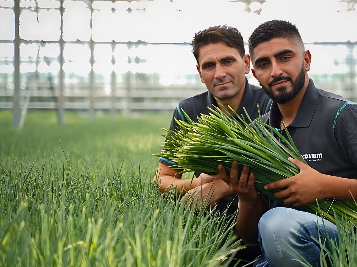 AIPH Welcomes EU–UK SPS Deal to Protect Horticulture Supply Chains