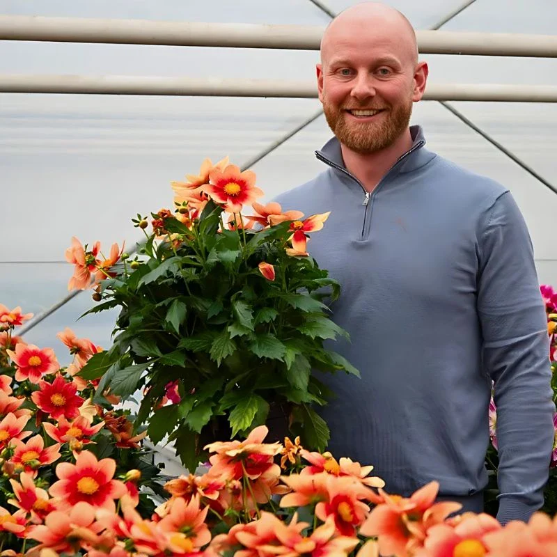 AIPH Welcomes EU–UK SPS Deal to Protect Horticulture Supply Chains