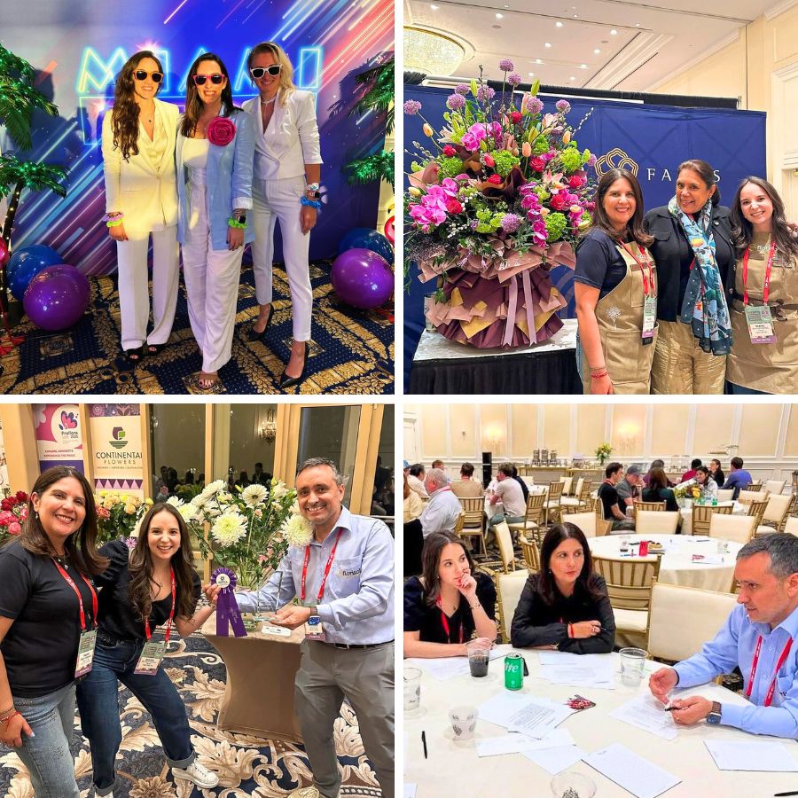 Moments during WWFSA in Miami edition