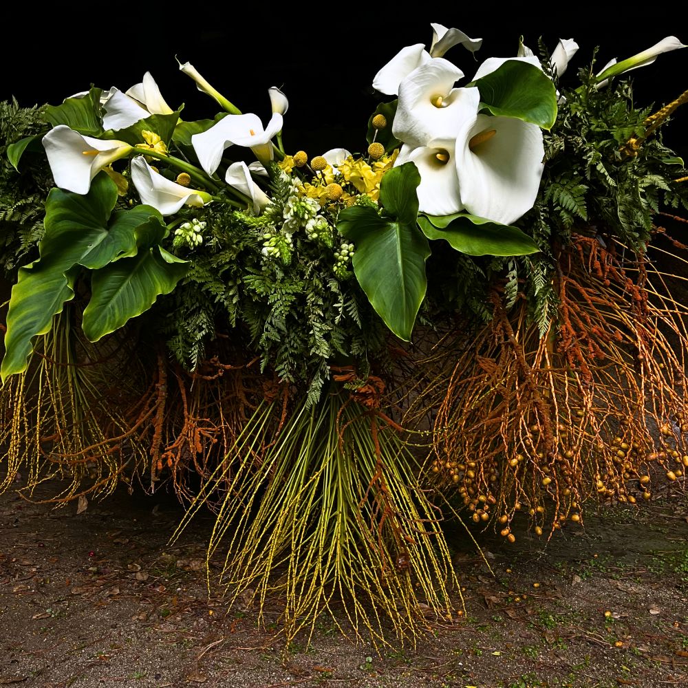 10 Questions to Daniela Fabres