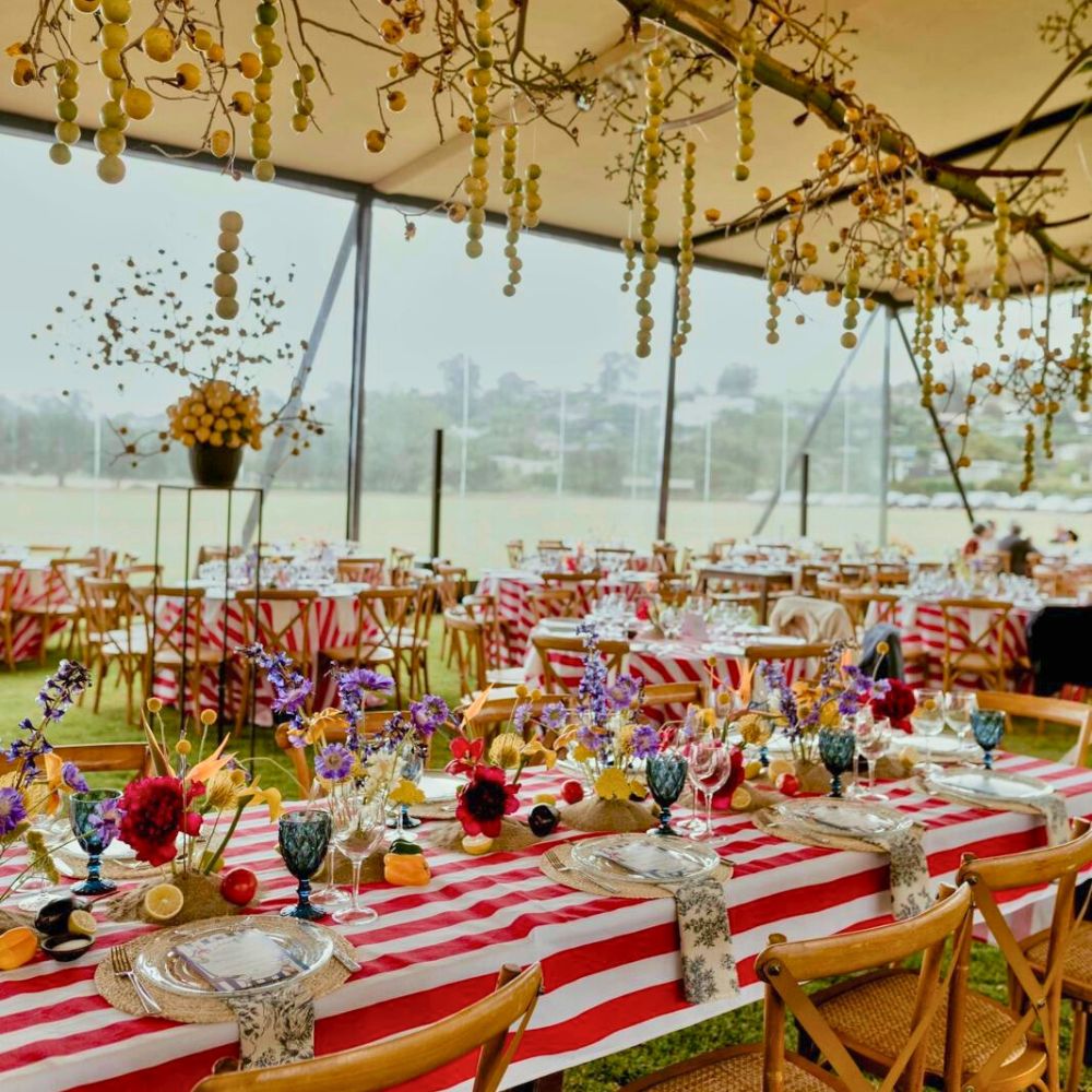 10 Questions to Daniela Fabres