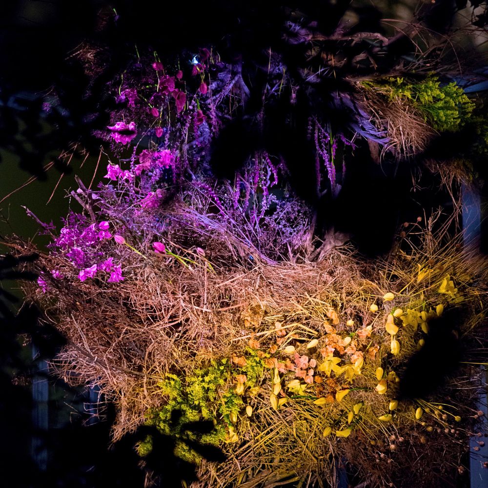 10 Questions to Daniela Fabres