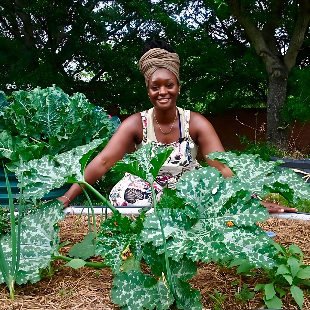 Making a Case for Peat-Free Substrates for Sustainable Floral Production - Thursd Blog