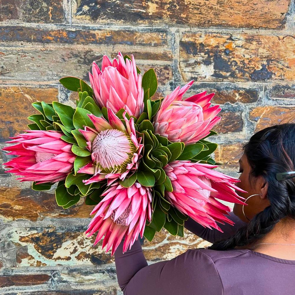 a lady posing with a bunch of king proteas holding in her hand while facing the wall - the wall, with earth tones helps exemplify the proteas in its true colors even more