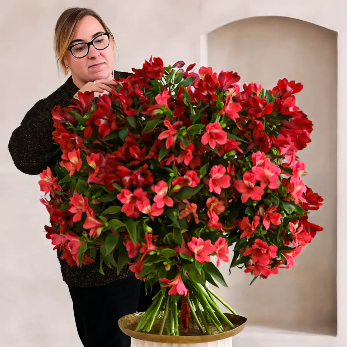 Tesselaar Alstroemeria Rachel Kennedy