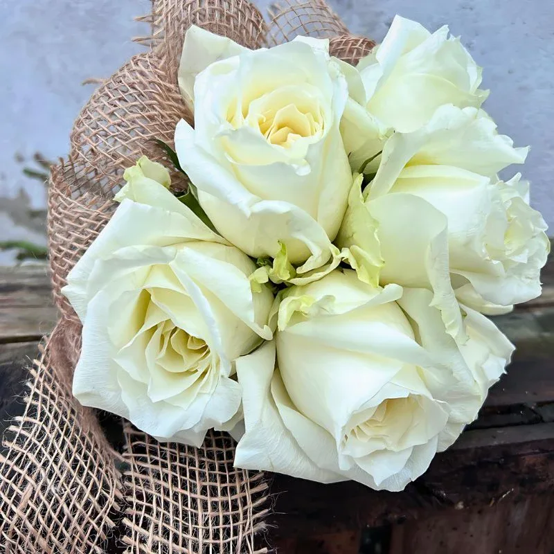 United Selections’ Roses That Will Shine in Your Designs Each Season