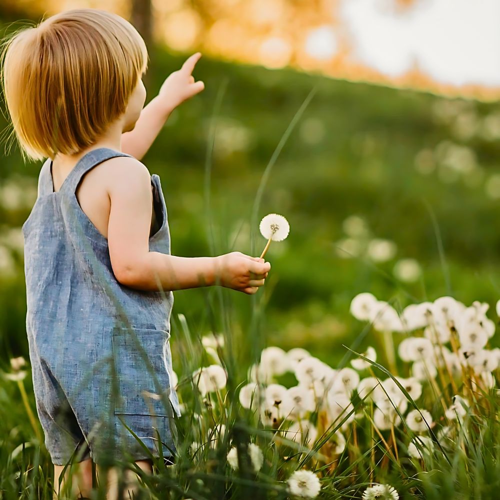 The Sagittarius Zodiac Flower Combo of Carnation and Dandelion