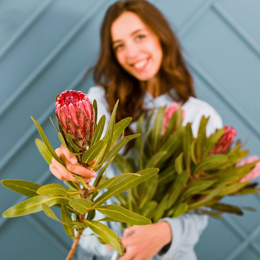 a woman showing a fresh grown protea flower