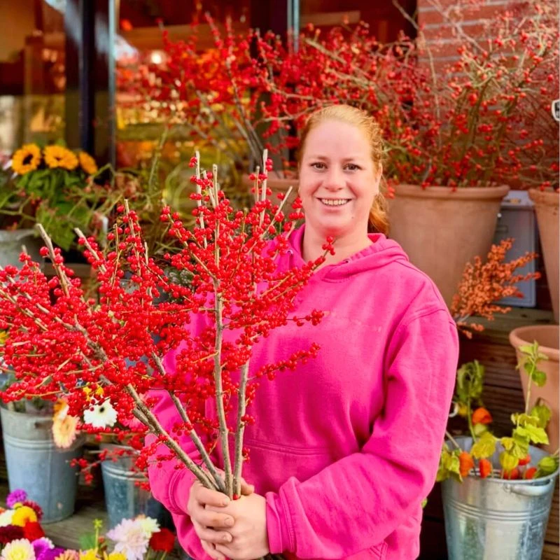 December Birth Month Flowers